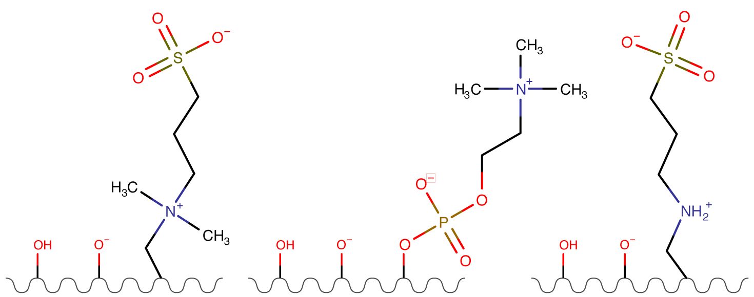 Zwitterionic Stationary Phases